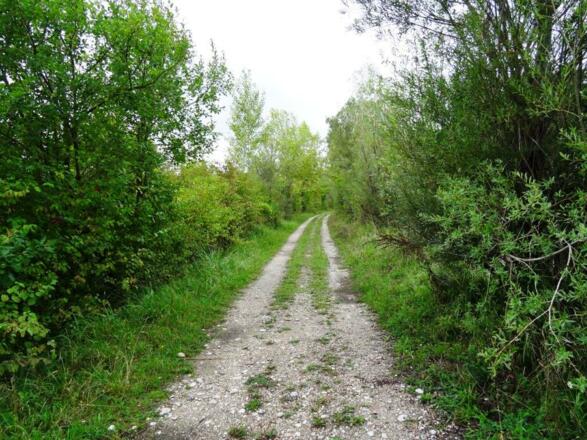 auf dem Treppelweg nach Wels