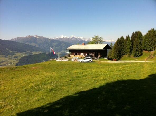 Meislsteinalm