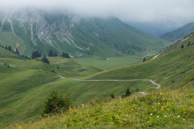 Auenfeldsattel