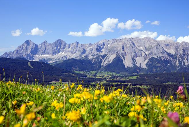 Blick auf den Dachstein
