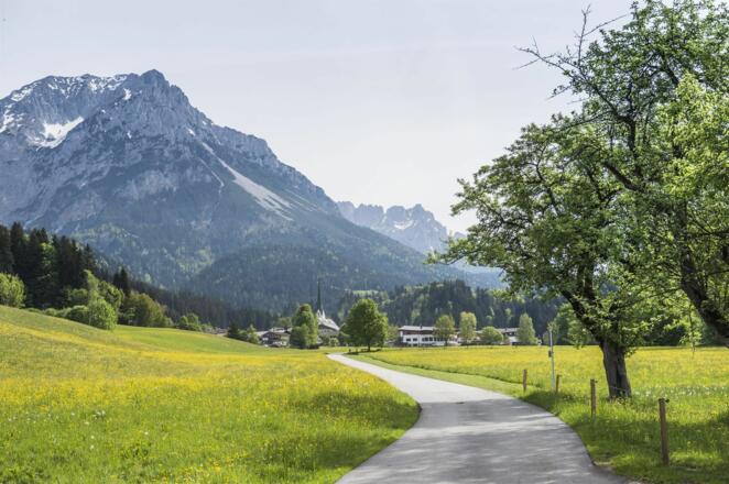 Scheffau_Sommer_Wilder Kaiser