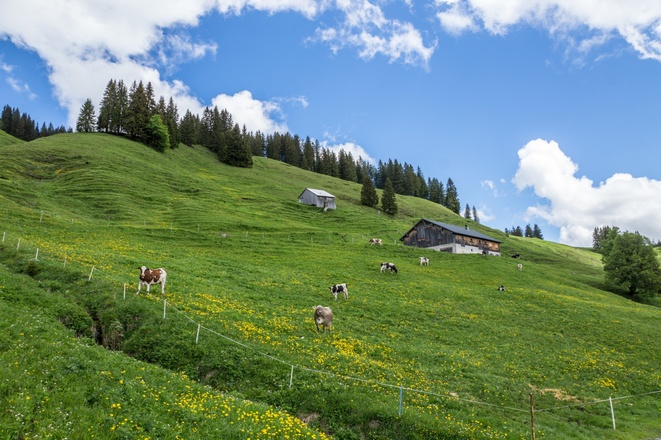 Vögels Neualpe
