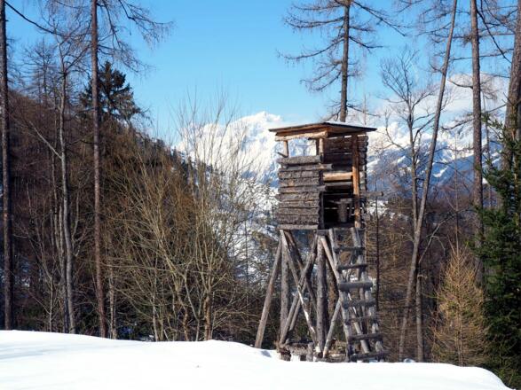 ~1190m Jagastand, Forststr. queren
