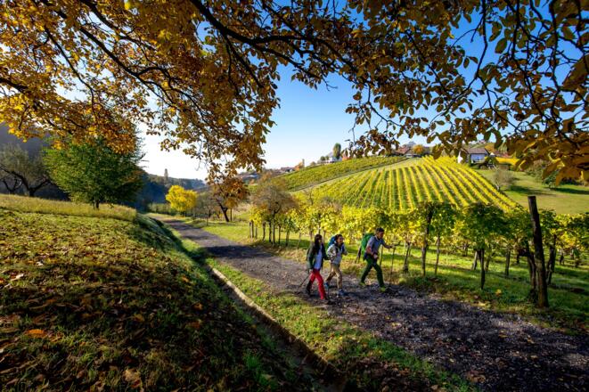 Unterwegs bei Klöch