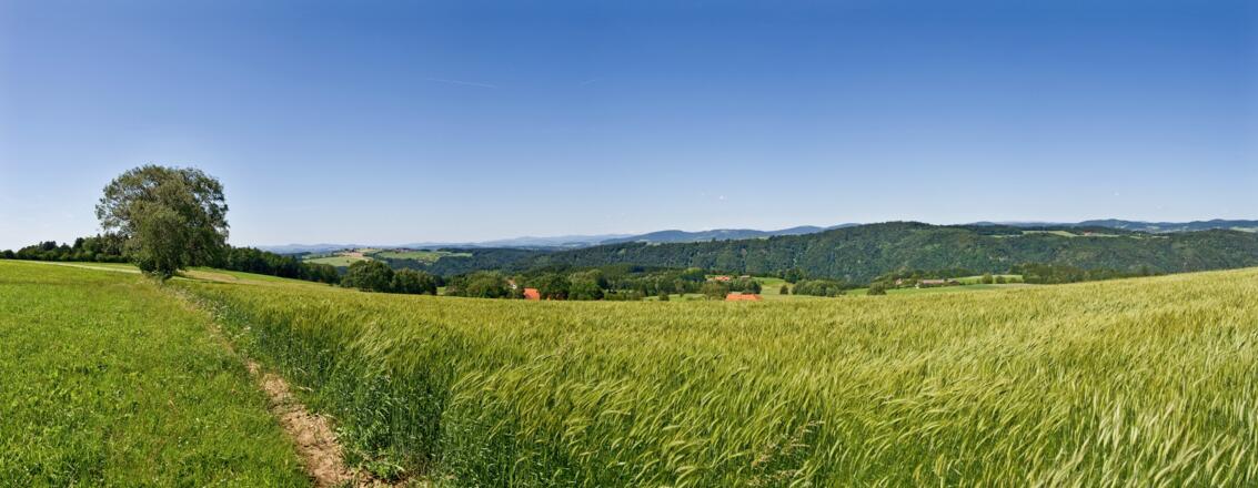 Donausteig Panorama Esternberg