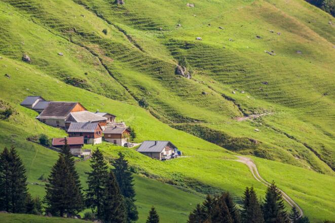 Blick auf Alpe Lün