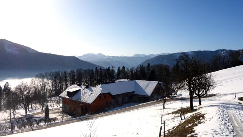 825m, vor dem Habichlerhof (810m)