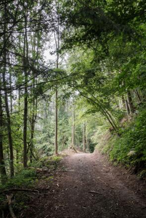 Wanderweg \"Traumblickrunde\"