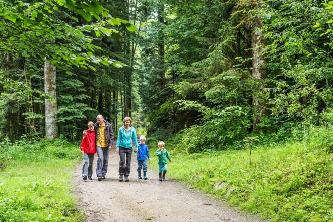 Scheffau_Familie Wandern_Scheffau_Wilder Kaiser