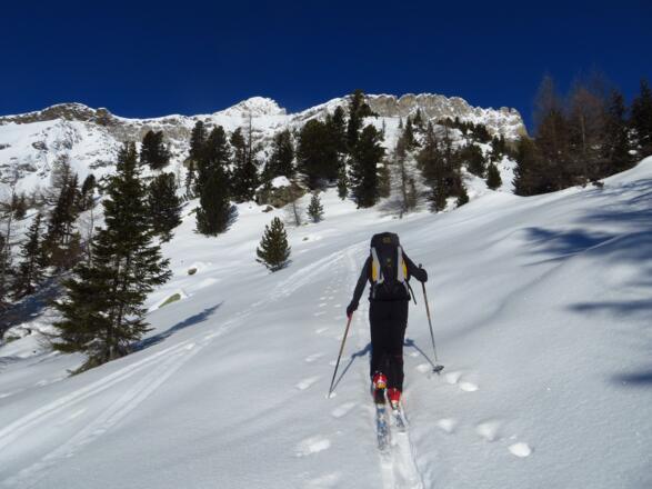 Dann wird der Blick frei auf den Wolfendorn
