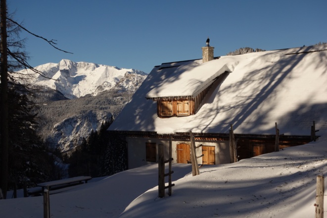 Brandneralm ~1260m beim Abstieg