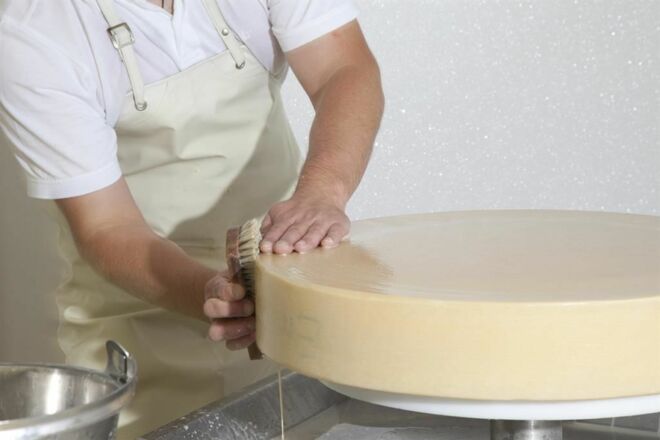 Käse Alm Hütte Einkehr Aschingeralm Ebbs Kulinarik Genuss Schaubetrieb