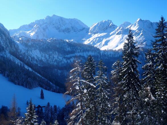 Inselbacheralm, Scheiblingstein, Pyhrgasgruppe