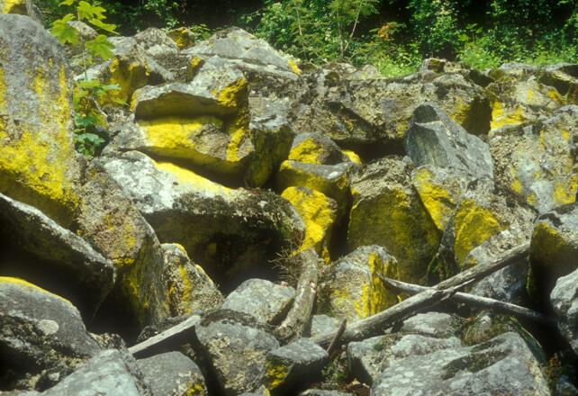 Blockstrom mit gelben Flechten