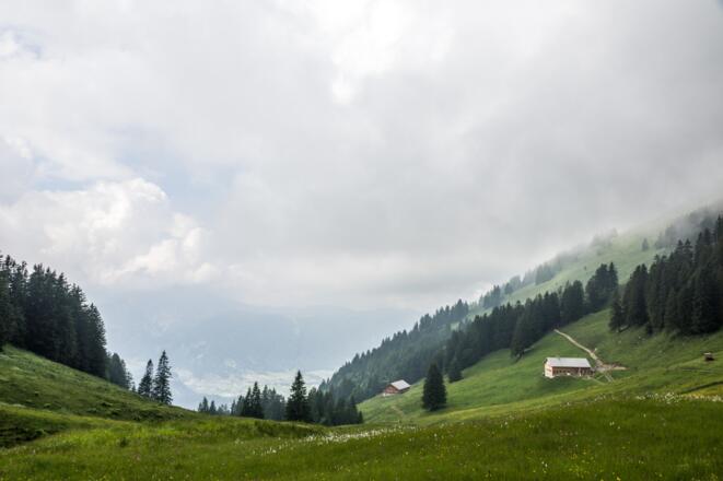 Alpe Greußings Wildmoos