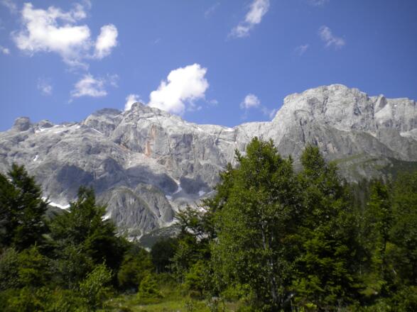 Hochkönigpanorama bei der Stegmoosalm