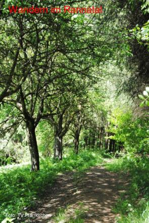 Wanderweg \"Traumblickrunde\"