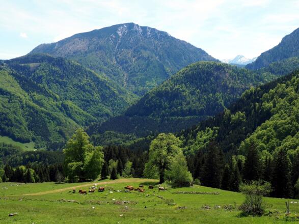 Kl.- und Gr. Größtenberg 1724m