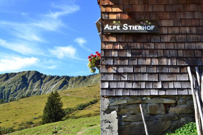Alpe Stierhof – ein sonniges Plätzchen unterhalb der Ochsenhofer Köpfe