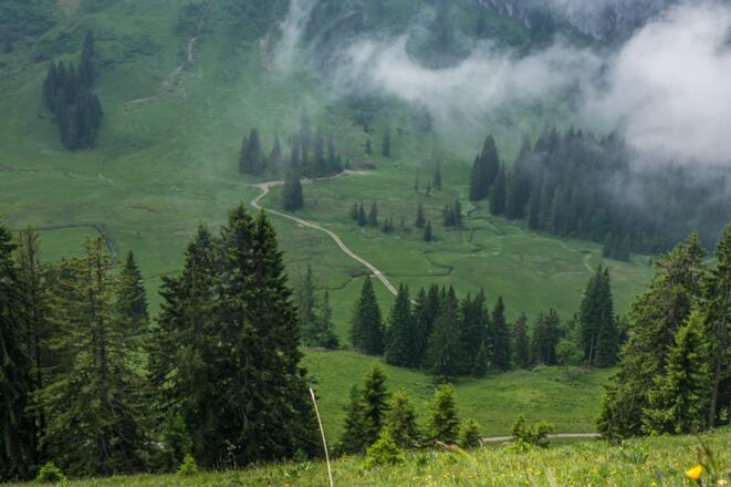Blick auf Stongenalpe, Bezau