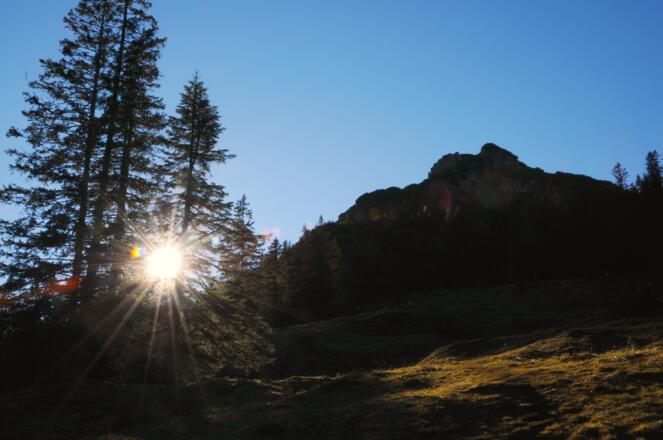 Abstieg vom Schillerkopf mit einem Blick zurück