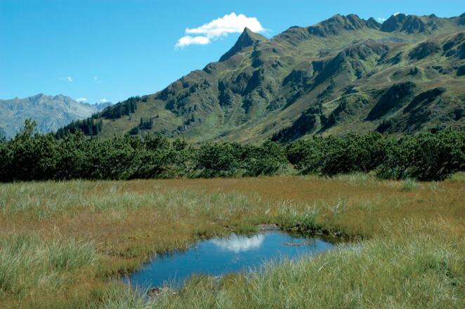 Riedboden, Richtung Muttjöchle