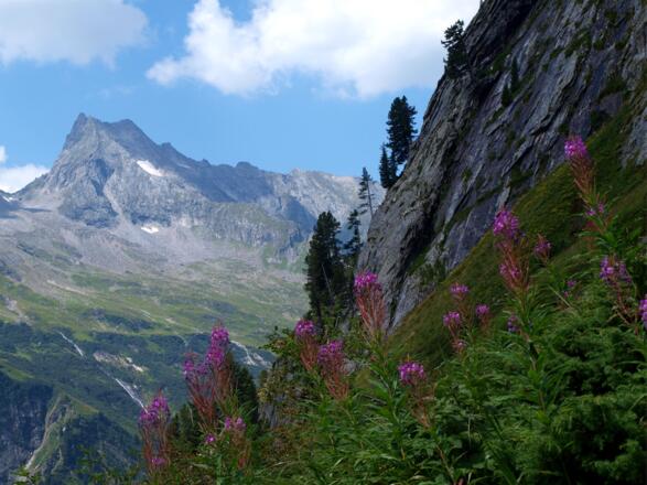 Talabstieg um 1800m mit Gigalitz
