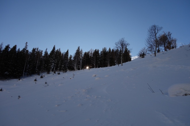 Abstieg zur Straße im Kahlschlag ~1400m - 1265m