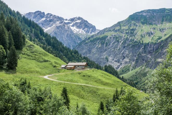 Blick auf Heimenwaldalpe