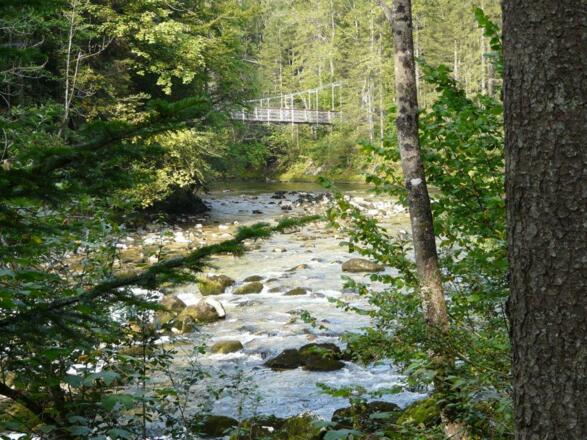 Das Wilde Koppental (mit Hängebrücke)