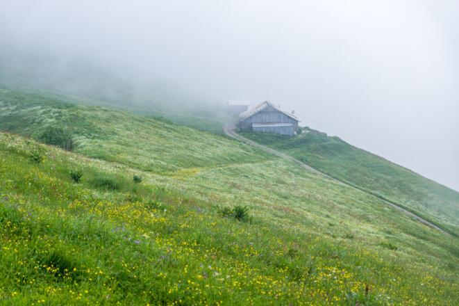 Blick auf Stongerhöhealpe