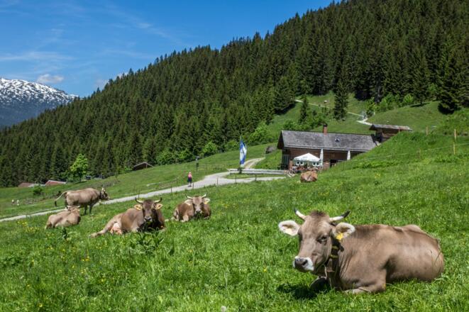 Blick auf Obere Wiesalpe