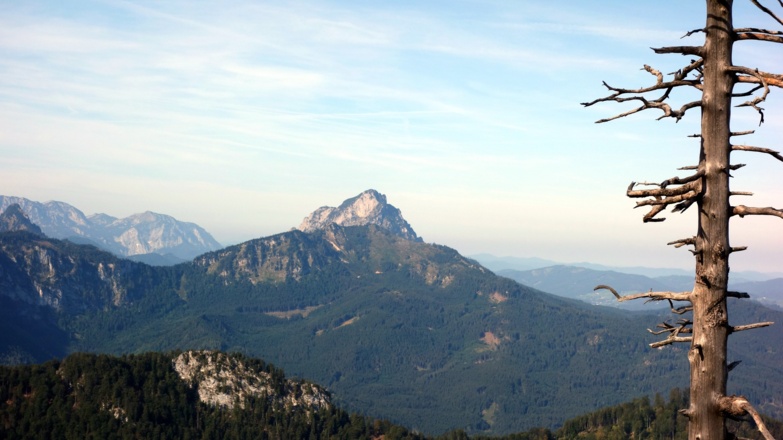 Traunstein vom Grat