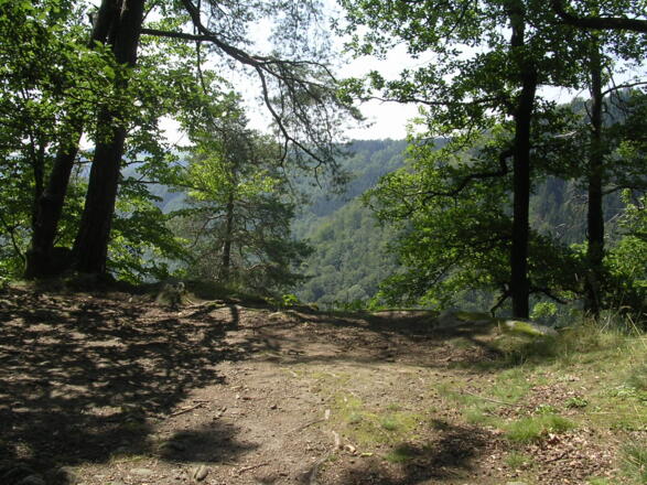 Wanderweg \"Traumblickrunde\"