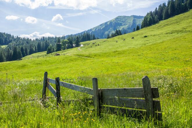 Alpgebiet Brongen, Egg-Schetteregg