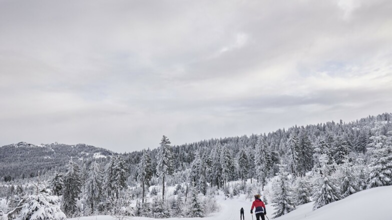 Langlaufen am Bretterschachten