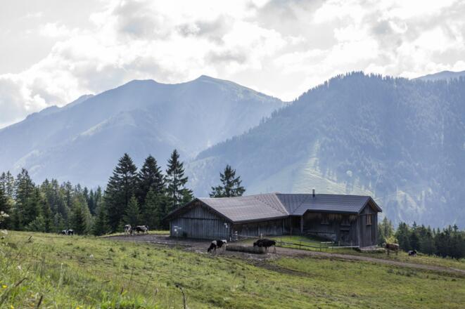 Schneewaldalpe, Dornbirn-Ebnit