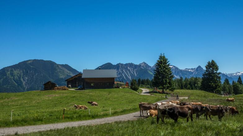 Blick auf Ronaalpe