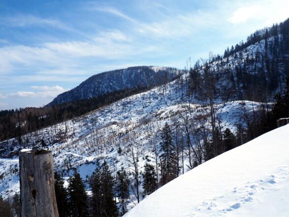 1260m Plateau, Blick zum Seespitz
