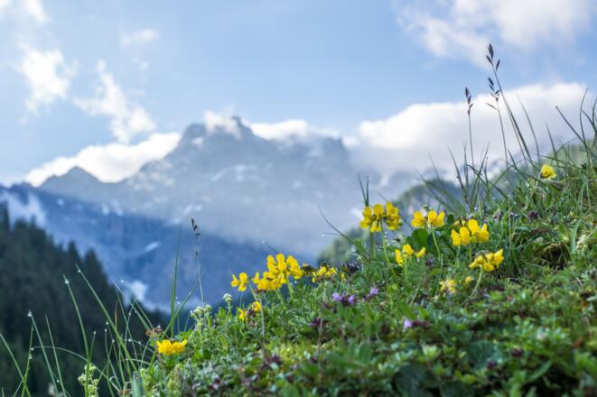 Aussicht auf den Panüelerkopf (2.859 m)