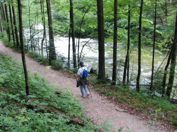 Der Weg durch die Wildnis