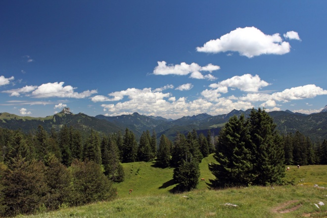 Hochalm