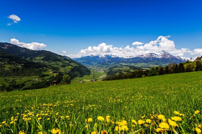 Blick ins Katschtal bei Schöder-St. Peter