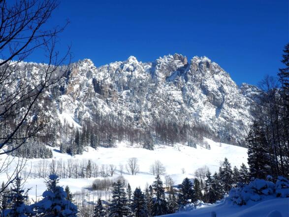Kampermauer mit Puglalm