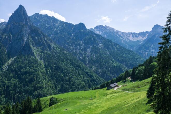Auf dem Weg zur Gaudenzaalpe