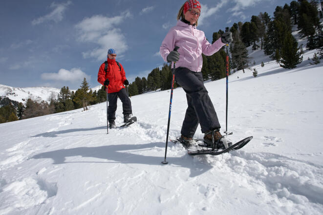 Schneeschuhwanderung auf die Greiseneckalm