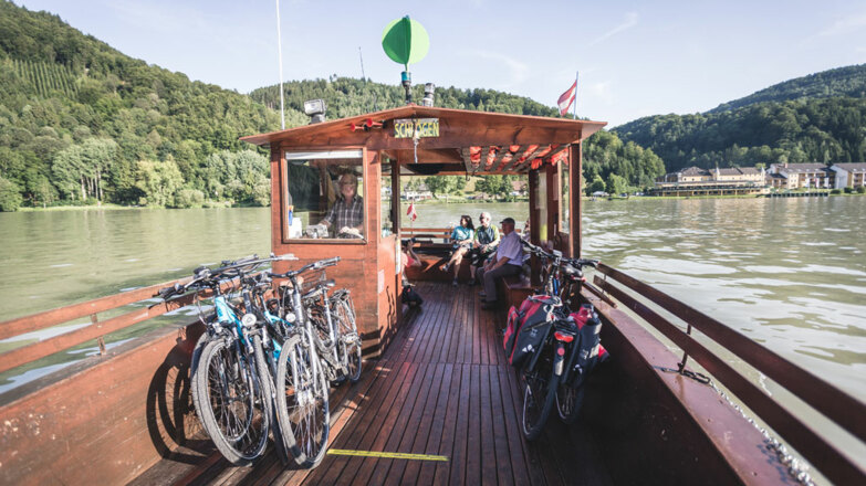 Donau-OOE_Sommer_Radfahren1_Aschach_Oberoesterreich-Tourismus-GmbH_Robert-Maybach_NEU