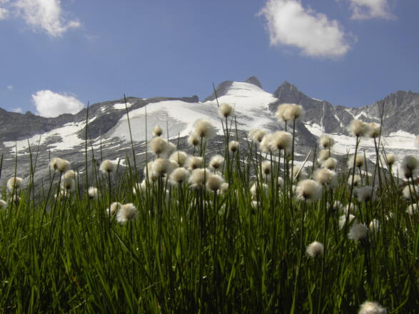 Blick zum Gabler und zur Reichenspitze
