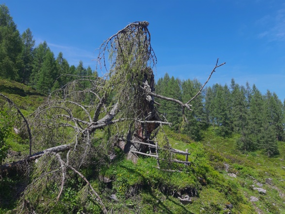 Versteckte Schätze am Wegesrand