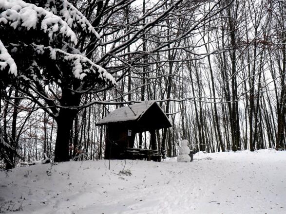 Abzweigung Nord, links zur Kürnbergburg um 470m